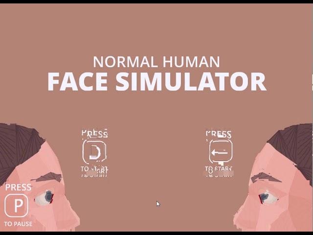 Normal human face simulator