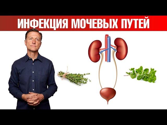 Лучшее натуральное средство при инфекции мочевыводящих путей