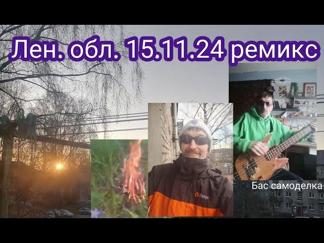 Бас самоделка_ Ленинградская область _ремикс_15 11 24