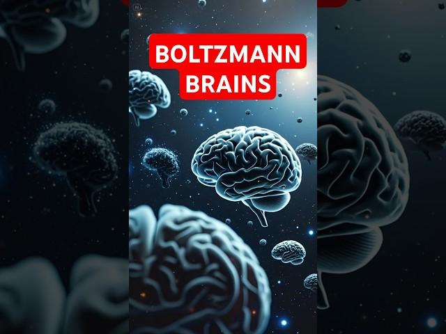 What are BOLTZMANN BRAINS?