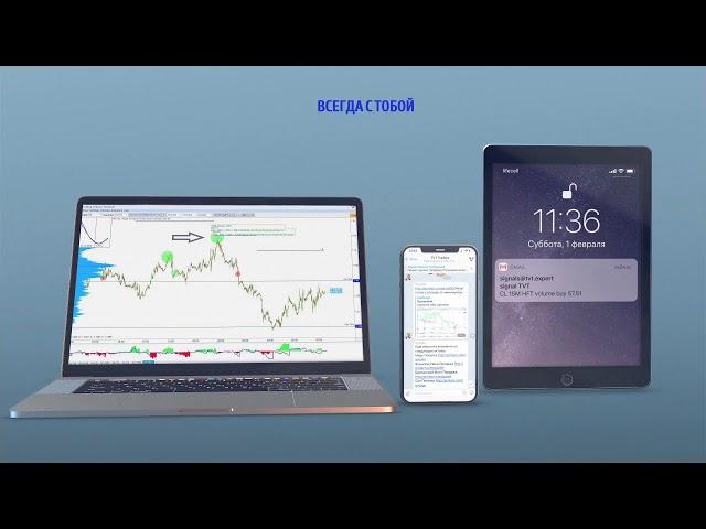 Trading Volume Terminal - платформа для комплексного анализа рынка. Подписывайся и узнавай новое