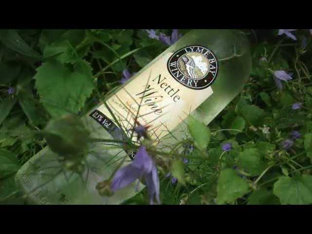 Enjoying the Nettles in your Garden