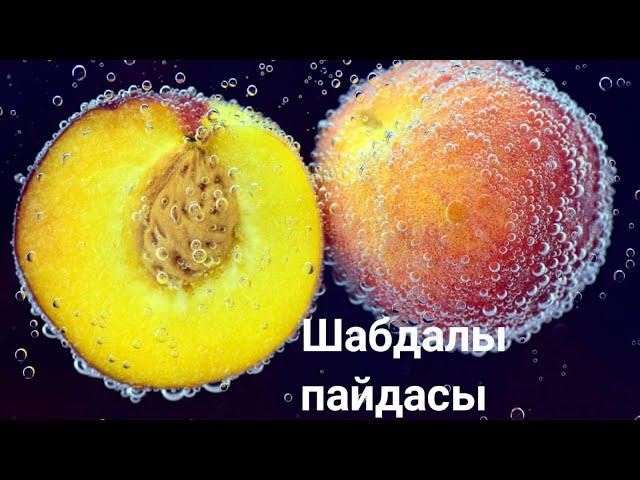 ШАБДАЛЫ ПАЙДАСЫ МЕН ЗИЯНЫ