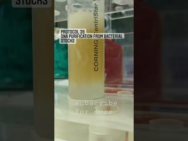 DNA purification  #trending #medical #lab #viral  #shorts #youtube