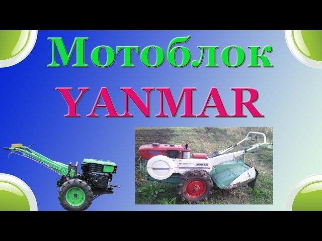 Мотоблок YANMAR YHC 800