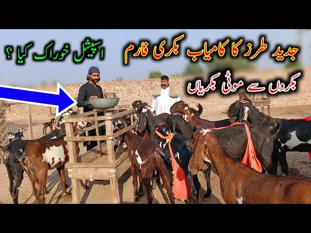 We Visited ITLAAL Goat Farm- Goat Farming Buisness in Pakistan - Gujjar Goat Farm