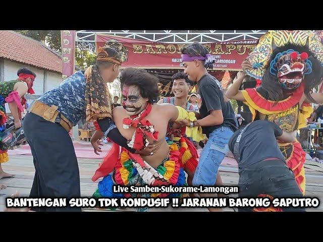 Bantengan Suro Tdk KondusifJaranan BARONG SAPUTRO Live Samben Sukorame Lamongan