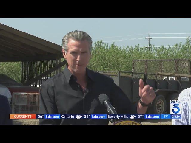 Gov. Newsom files lawsuit over Trump tariffs