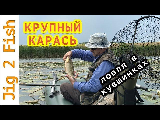 Ловля крупного карася в кувшинках!