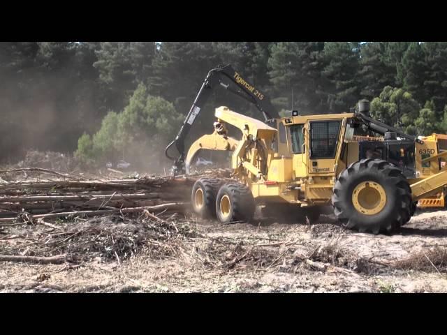 Tigercat - CBI full tree blue gum chipping operation