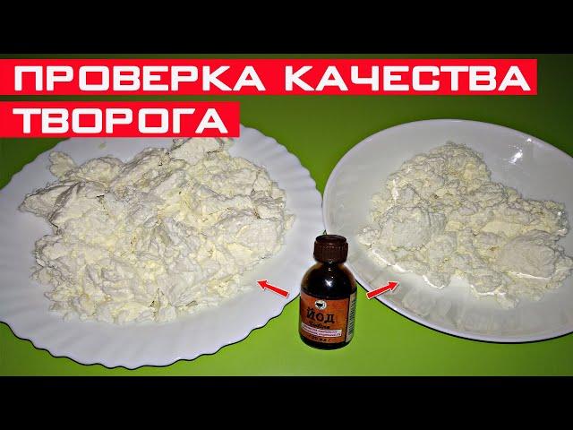 Как проверить качество творога? Проверка творога в домашних условиях.