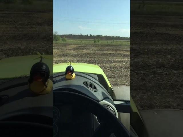 Начинаем пахать #вспашка #работа #трактор #сельскоехозяйство #amazone #поле