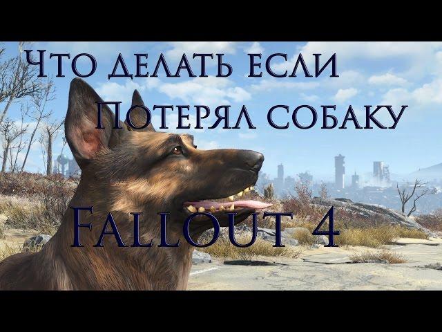 Что делать если потерял собаку в Fallout 4?