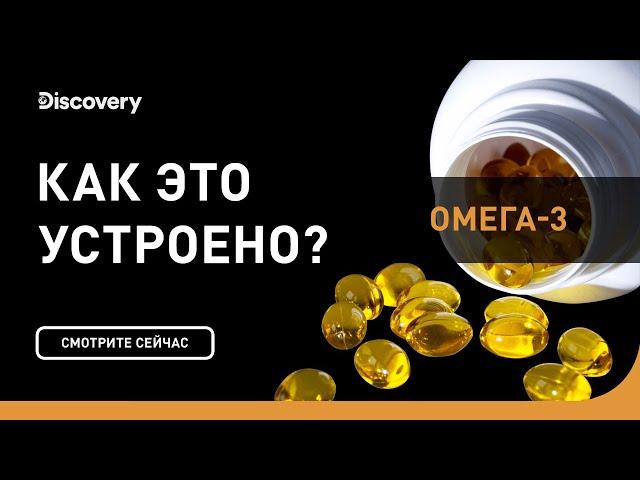 Омега-3 | Как это устроено | Discovery