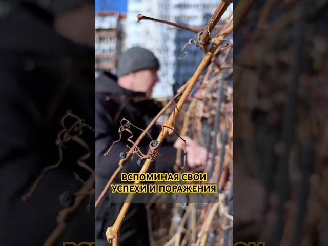 Вспоминая свои успехи и поражения