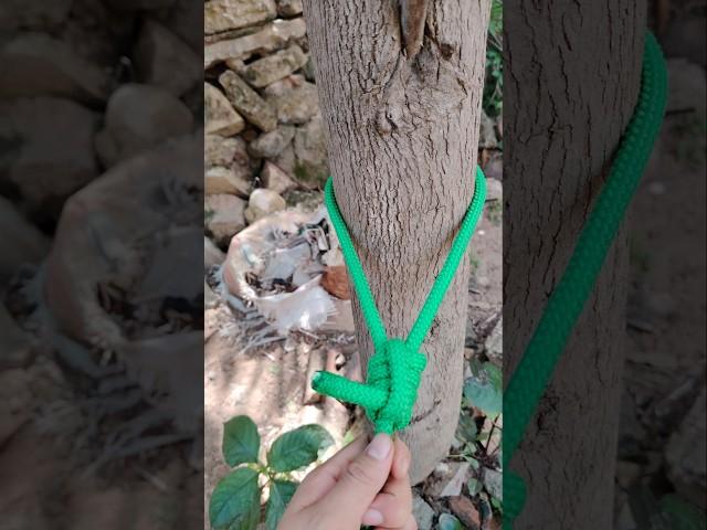 Idea To Tie Knot Easy but Strong #ropetutorial #ropework #knotlearning #diyrope