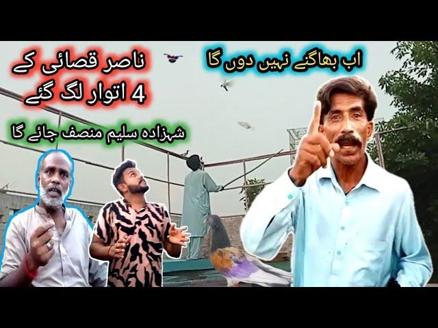 Nasir qasai full gussy mein  agya | Apna Shok apni pachan | Nasir pigeon club | Khokhar pigeons