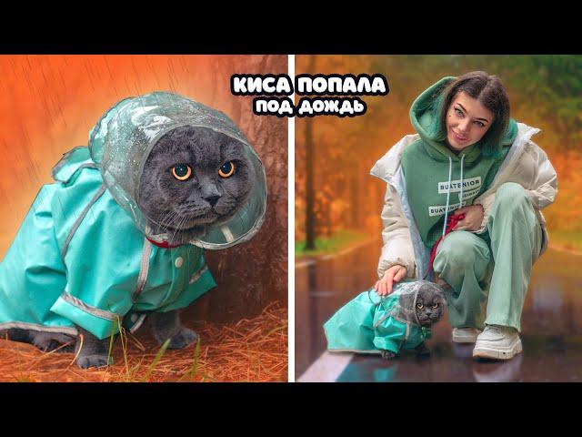 ОДИН ДЕНЬ с КОШЕЧКОЙ БАТТЕРС | КИСА в ЛЕСУ ПОПАЛА под ДОЖДЬ