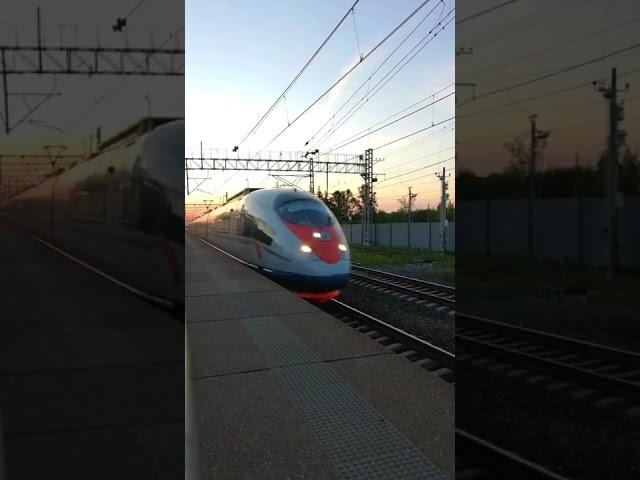 Сапсан проносится мимо платформы. Самый быстрый поезд России. Скоростной поезд летит по рельсам. ЭВС