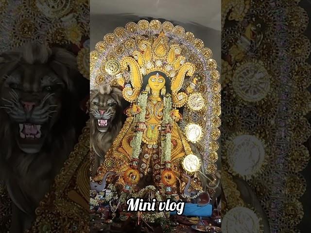 Jagatdharthi pujo mini vlog ️ #hindufestival#couplegoals#highligts#anivlog