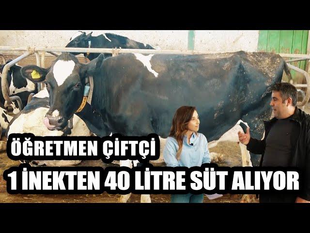 Öğretmen Çiftçi 1 İnekten 40 Litre Süt Alıyor! / Marka Çiftlikler