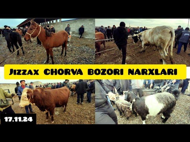 JIZZAX MOL QO’Y BOZORI NARXLARI ЖИЗЗАХ МОЛ КУЙ НАРХЛАРИ #жиззах #rek #ozod