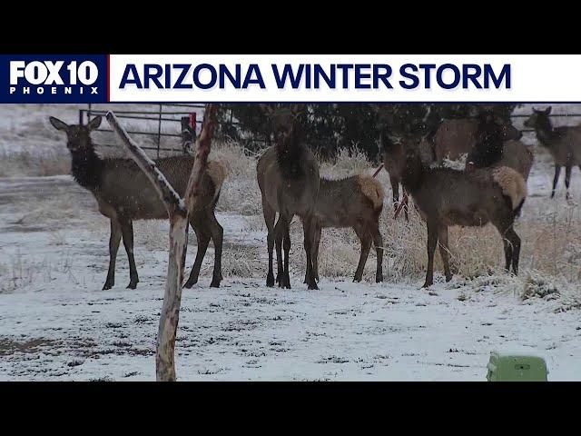 Storm brings snow to parts of Arizona high country | FOX 10 Phoenix