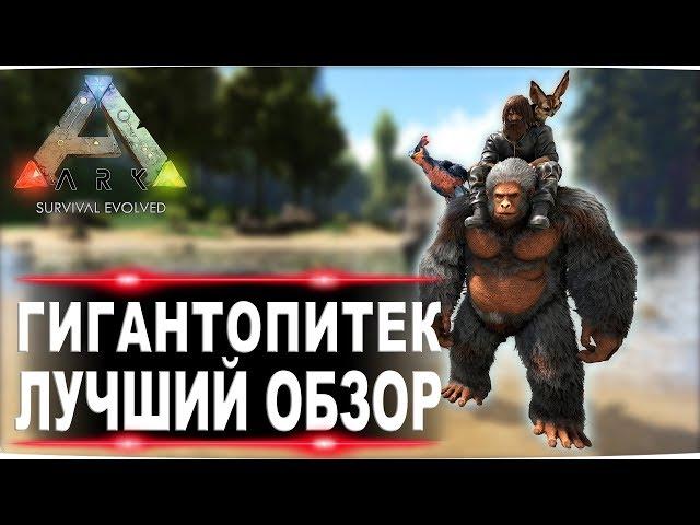 Гигантопитек (Gigantopithecus) в АРК. Лучший обзор приручение, разведение и способности  в ark.