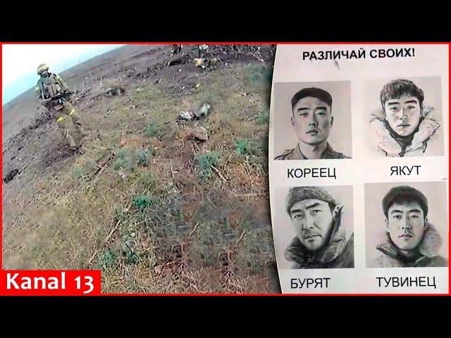 First video of killed North Korean soldiers at frontline: Ukrainian army shows footage from Selidovo