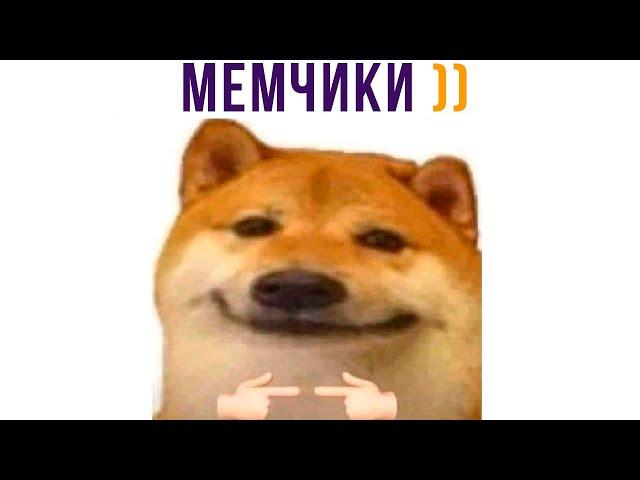 У МЕНЯ ТУТ ЭТО... МЕМЧИКИ))) Приколы | Мемозг 797