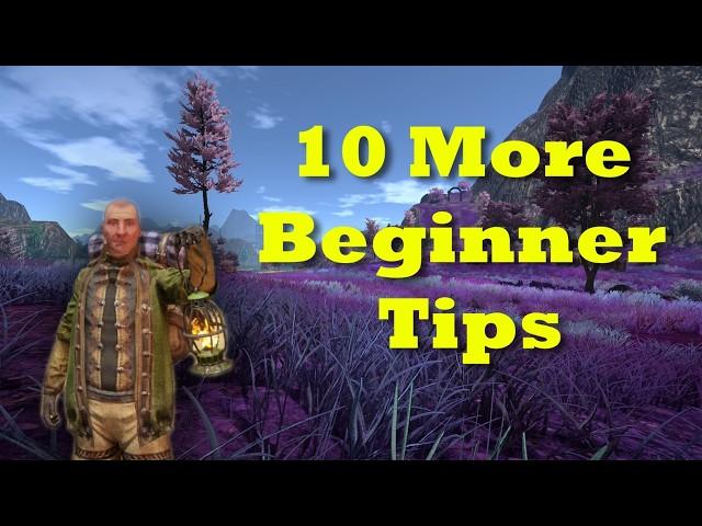 10 More Beginner Tips To Start Out! - Outward Definitive Edition