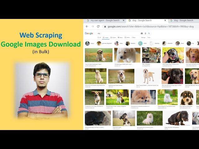 Web Scraping - Google Images Download in Bulk using Python