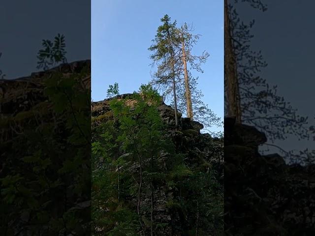 дыроватый камень
