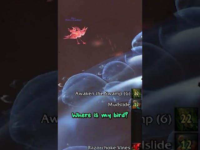 Chi-Ji Goes Surfing •  #thewarwithin #worldofwarcraft #monk #mistweaver