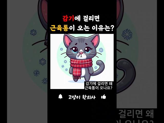 감기에 걸리면 몸살이 오는 이유  #고양이 #audiobook #shorts