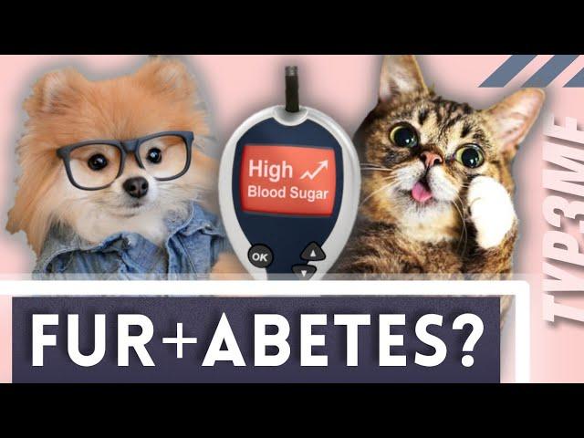 Diabetes in CAT'S and DOG'S