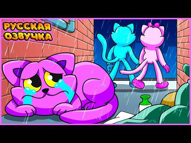 КЭТНАПА БРОСИЛИ В ДЕТСТВЕ - GameToons Анимация | CATNAP ABANDONED at BIRTH на русском | fReelaN SHOW