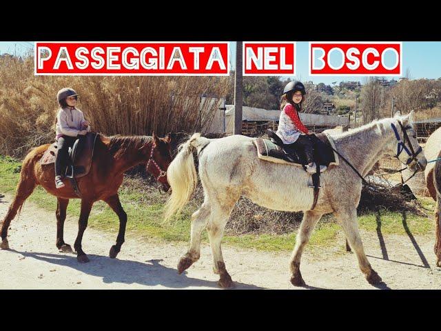 PRIMA VOLTA SUL CAVALLO | Nel bosco con i cavalli