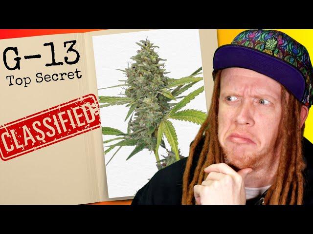 Is G-13 REALLY Government Weed?