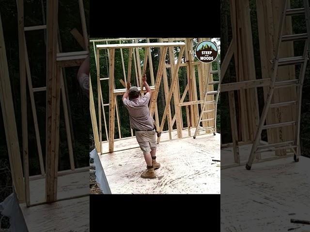 Framing the Tiny House by Myself