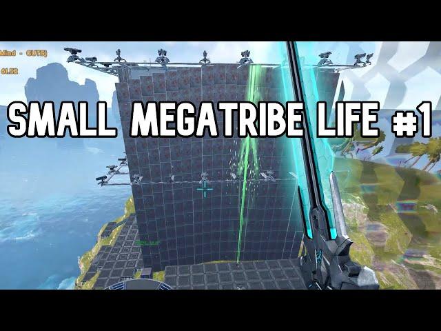 Official Small MegaTribe Life #1 - BUILDING MAIN BASE ( cheater almost wipe us )