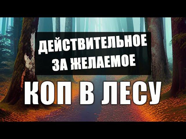 Поиск древних поселений. Коп в лесу. Действительное за желаемое.