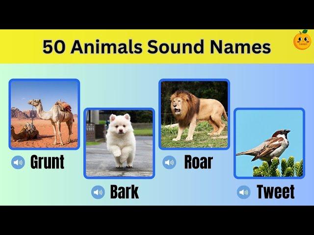 Animal sound name | sound name of animals | Animal sounds name in english | 50 animal sounds