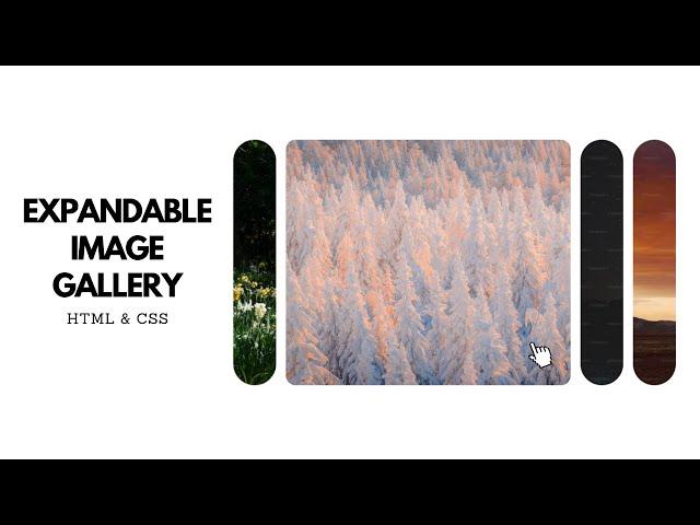 Expandable Image Gallery using HTML and CSS | Web Dev Wizard