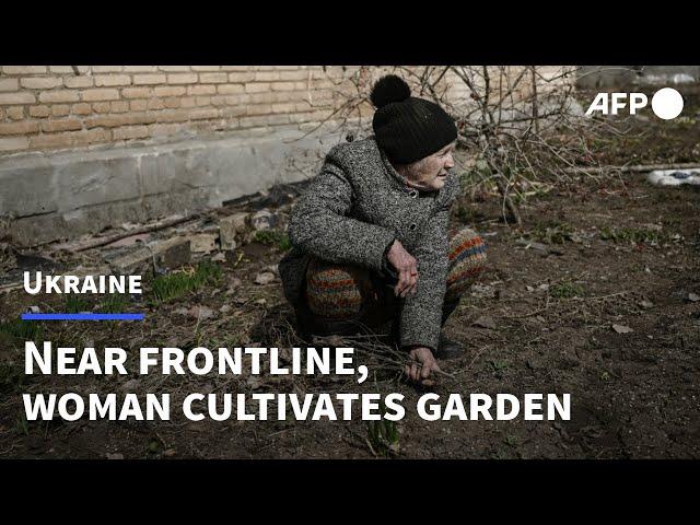 As winter ends, a garden takes shape near Ukraine frontline | AFP