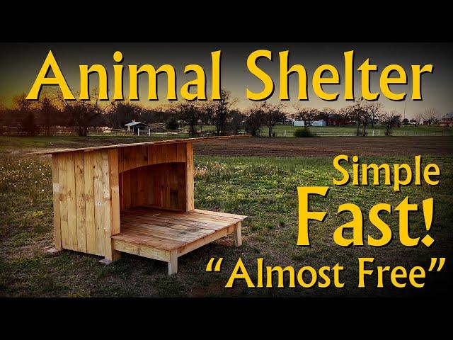 "Almost Free" DIY Animal Shelter / Dog House / Shed Build for All Skill Levels using Pallets