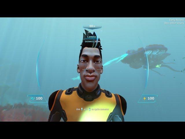 Subnautica, How to see the players face!