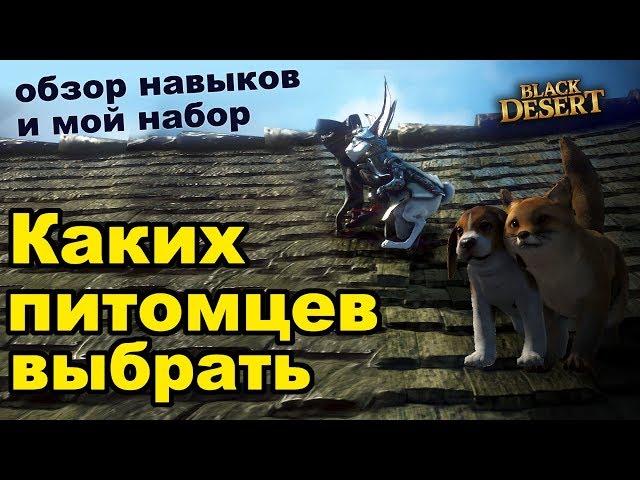 Каких питомцев выбирать? Обзор умений и особенностей петов в Black Desert (MMORPG - ИГРЫ)