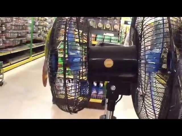 (OLD VIDEO) video tour of electric fans in a hardware store in an outdoor mall