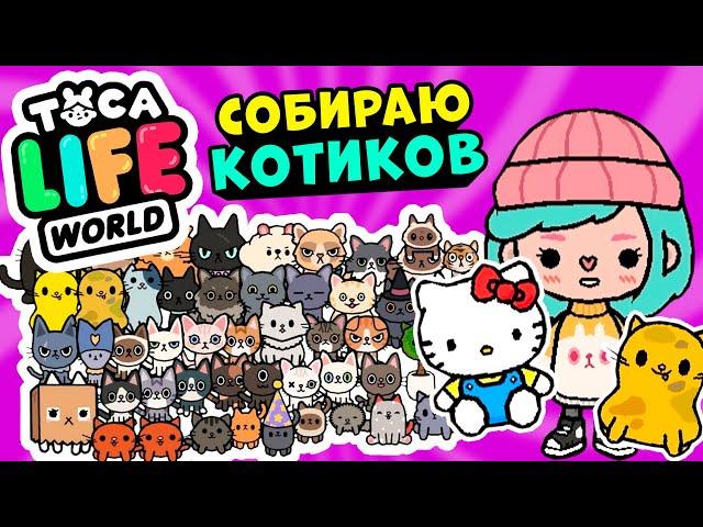 СОБИРАЮ ВСЕХ КОТИКОВ в Тока Бока  ► Toca Life world